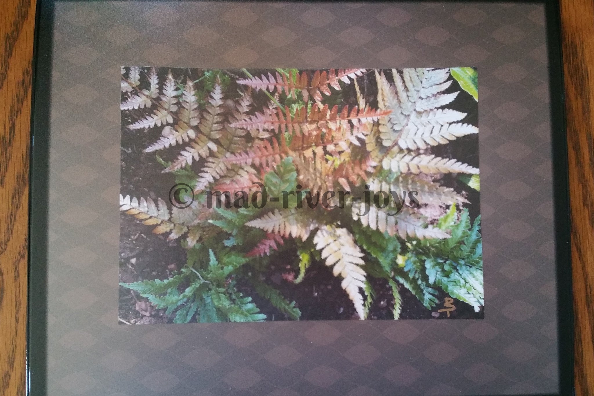 Mouse Mat--Photo Print--Thin--Fern
