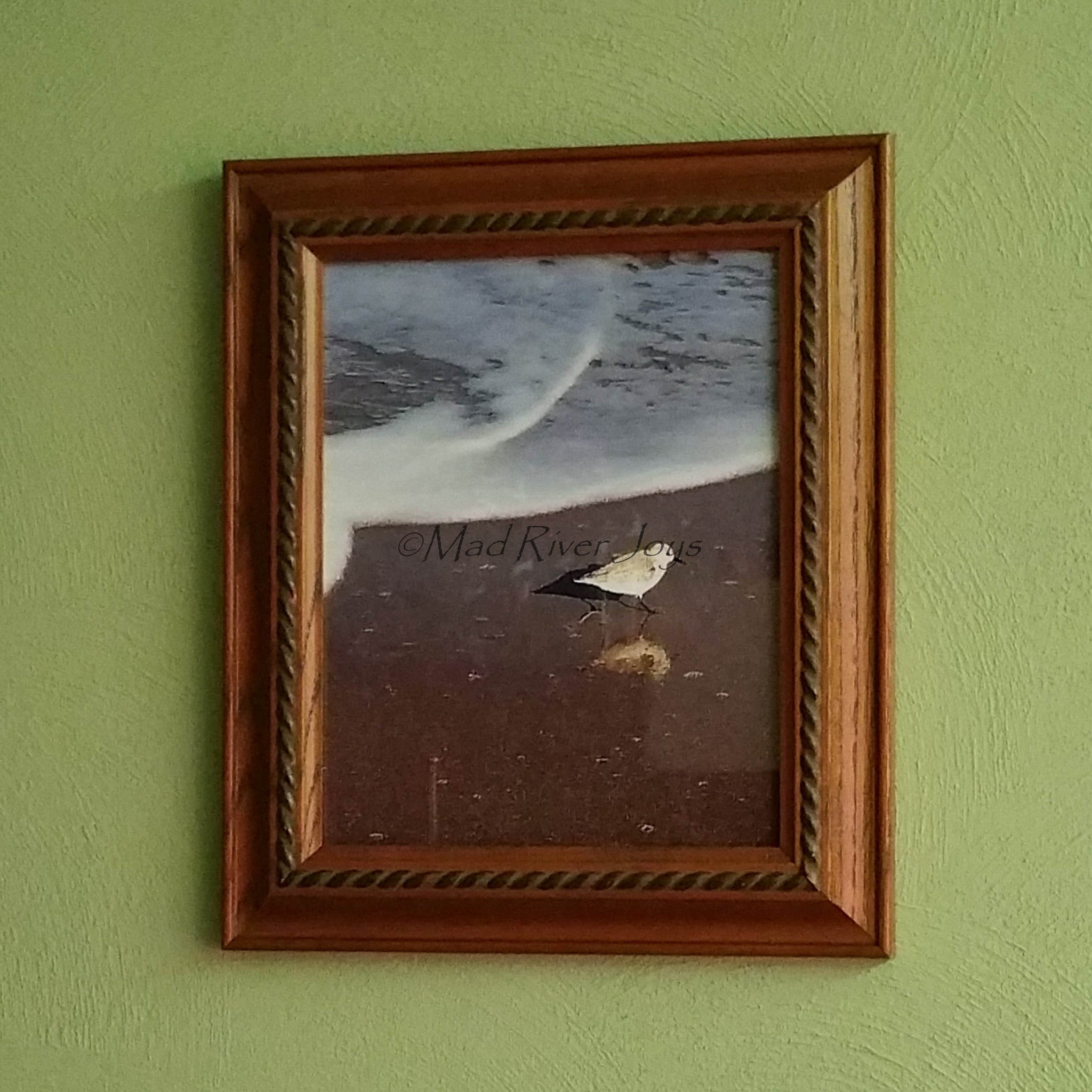 Photo Print--Framed--8" x 10"--Sandpiper Reflections