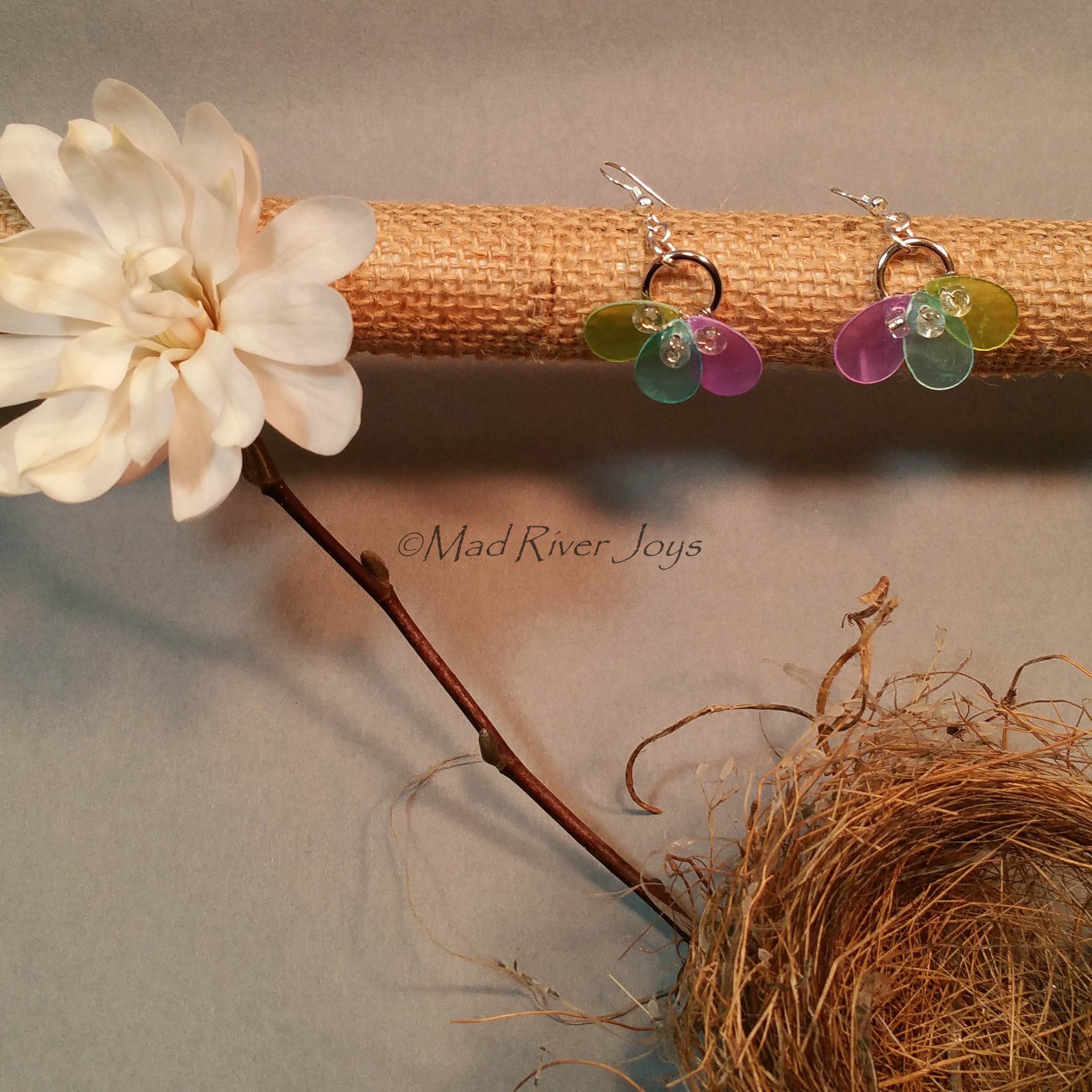 Earrings--Capiz Fan--Teal/Silver