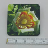 Coaster--Photo Print--Cork--Tulip Tree Flower