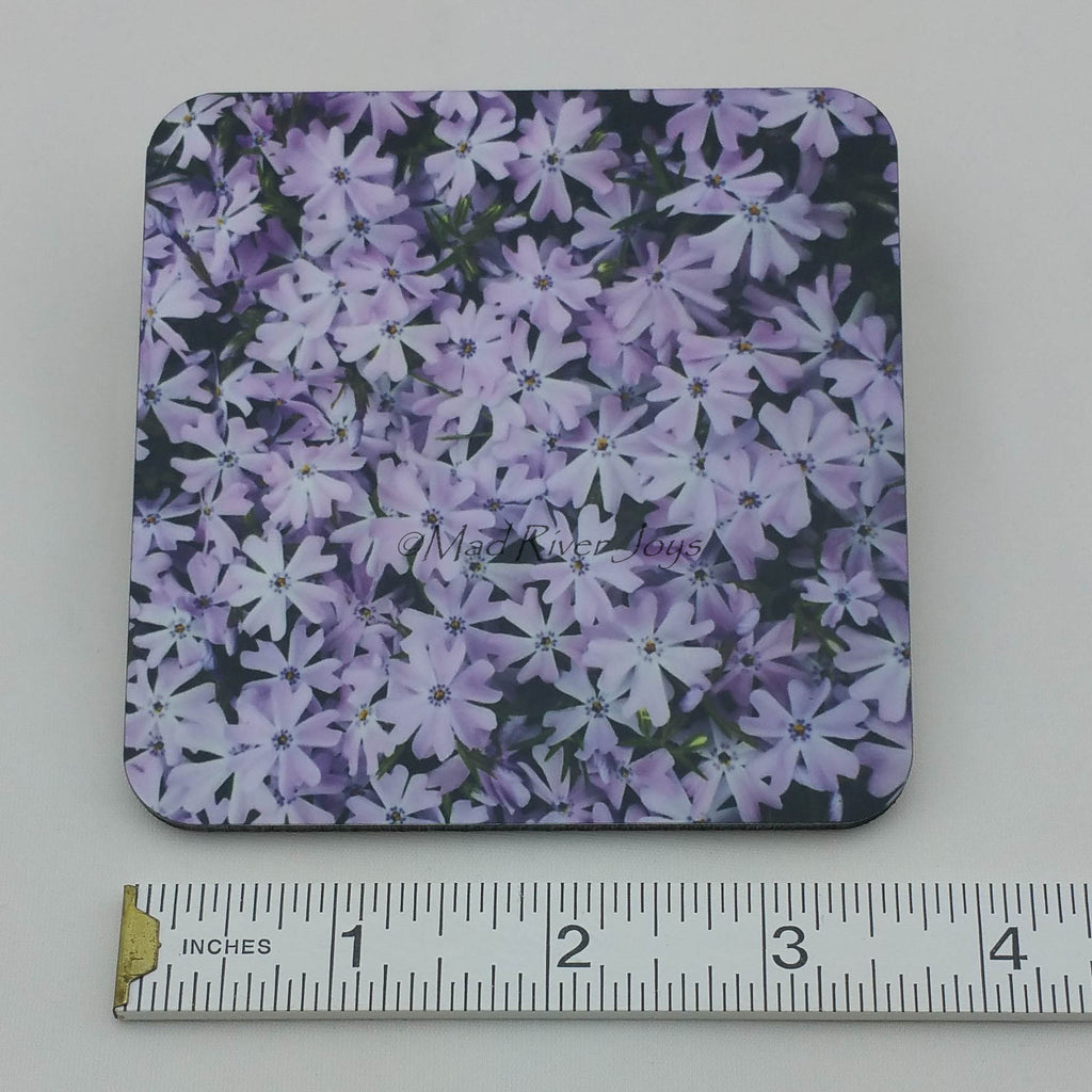 Coaster--Photo Print--Cork--Lavender Creeping Phlox