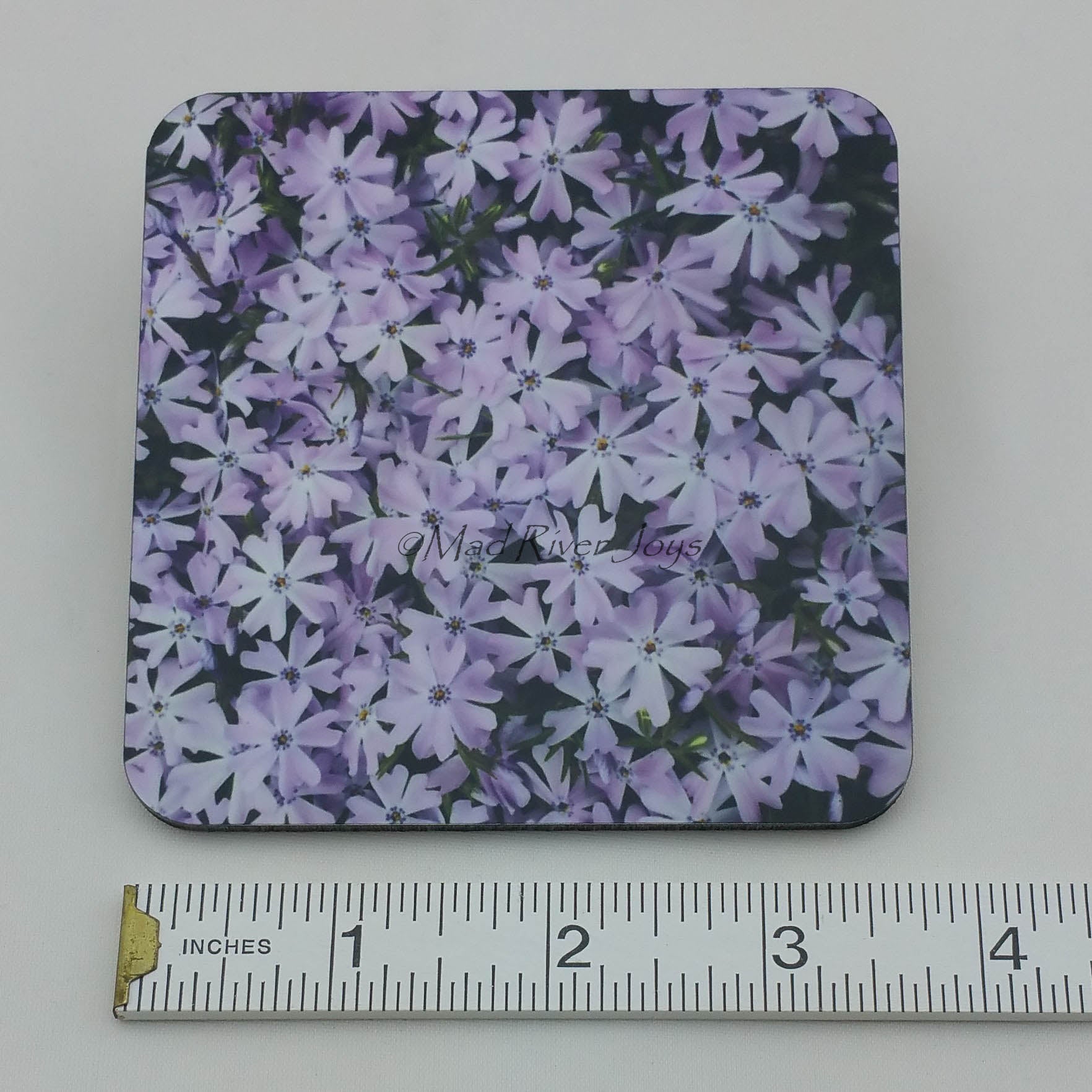 Coaster--Photo Print--Cork--Lavender Creeping Phlox