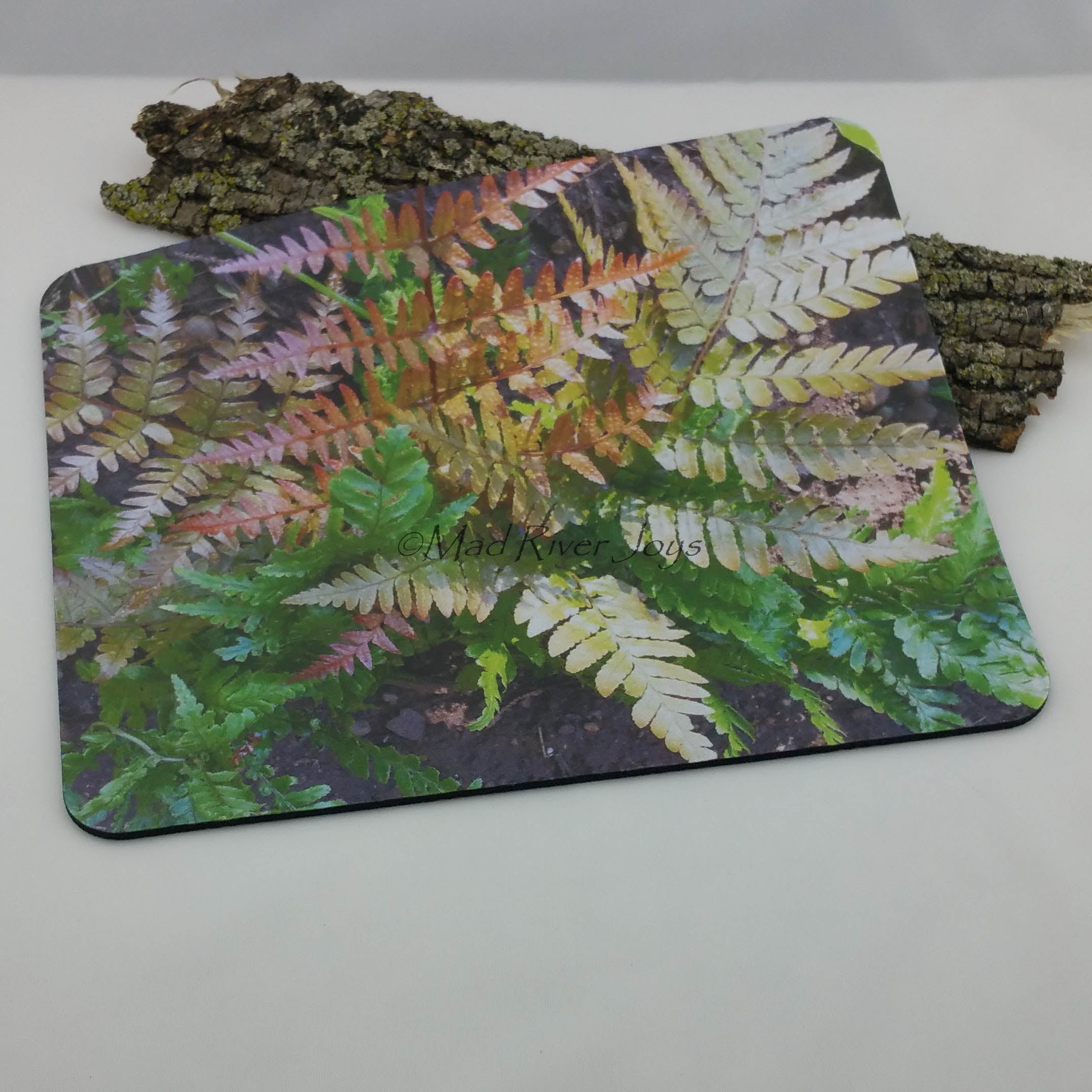 Mouse Mat--Photo Print--Foam--Japanese Autumn Fern