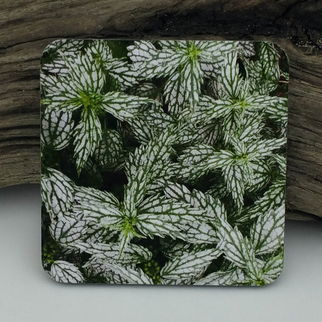 Coaster--Photo Print--Cork--Lamium