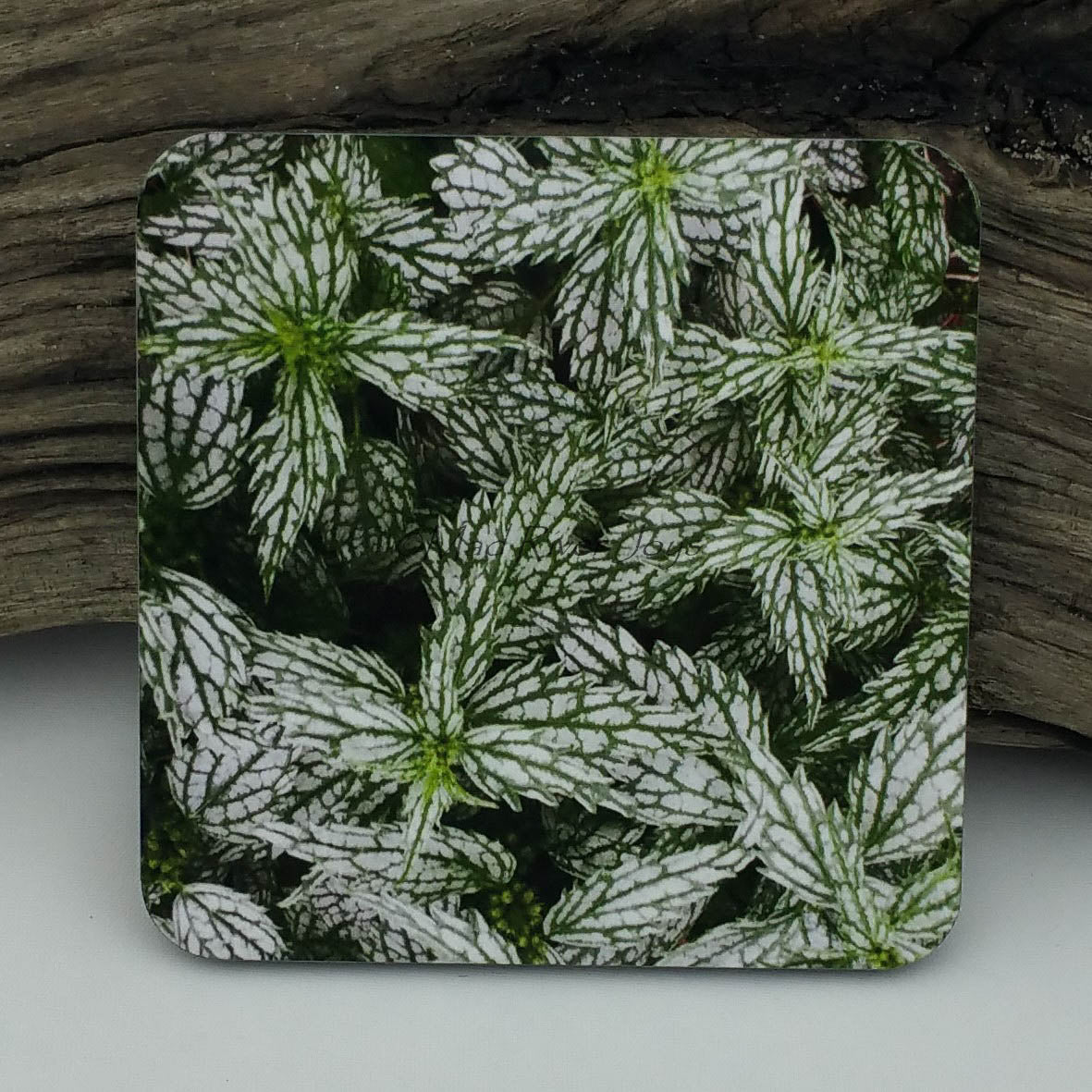 Coaster--Photo Print--Cork--Lamium