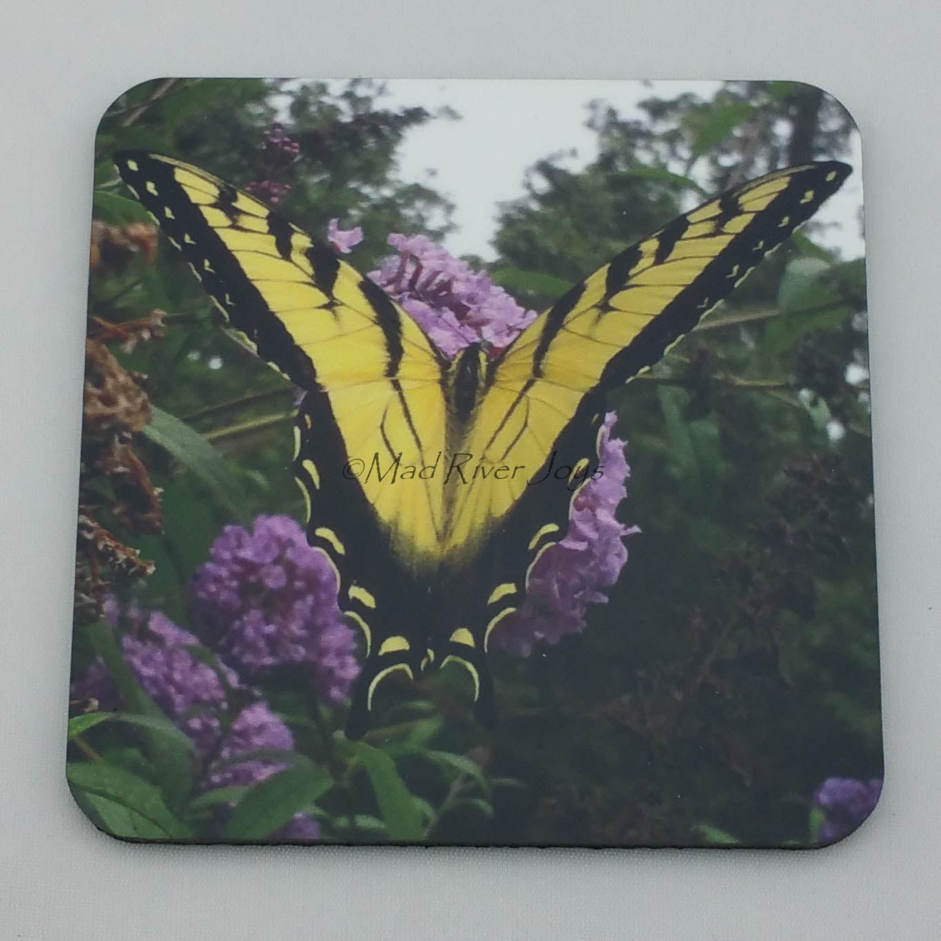 Coaster--Photo Print--Cork--Eastern Tiger Swallowtail Butterfly
