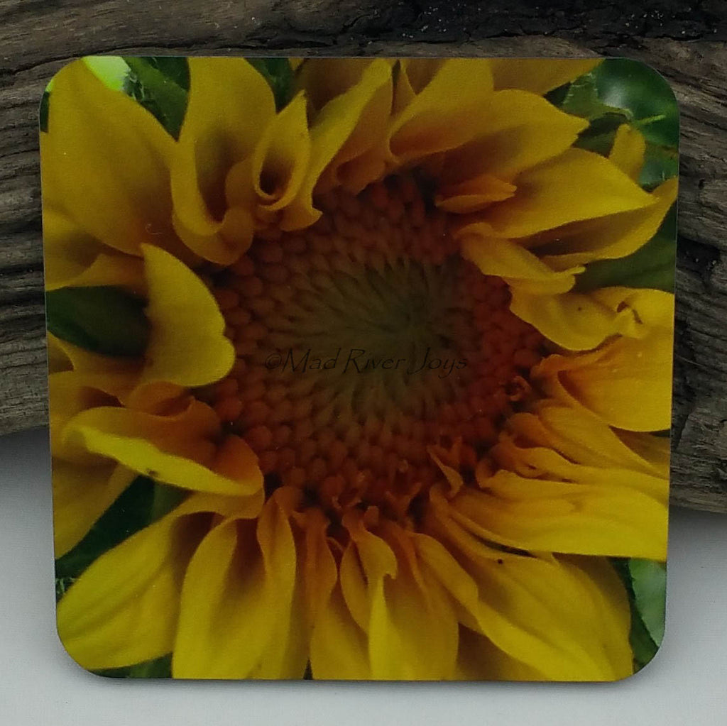 Coaster--Photo Print--Cork--Sunflower