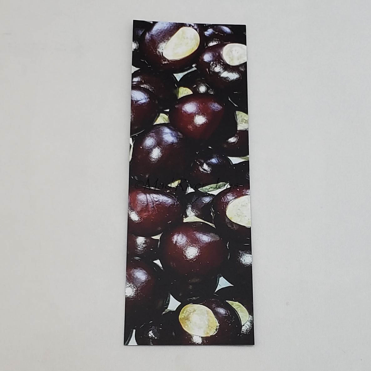 Bookmark--Photo--Buckeyes