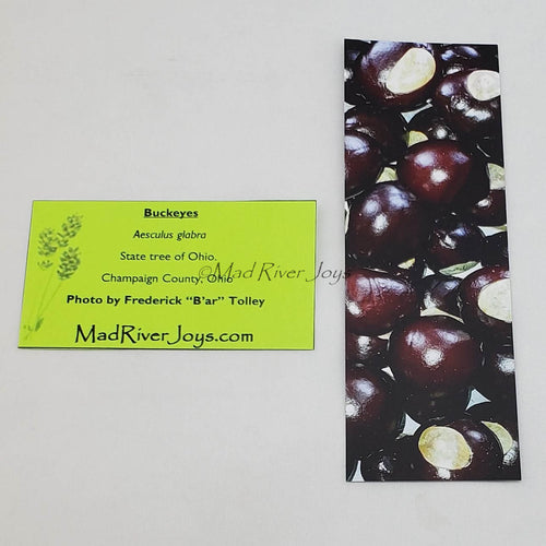 Bookmark--Photo--Buckeyes