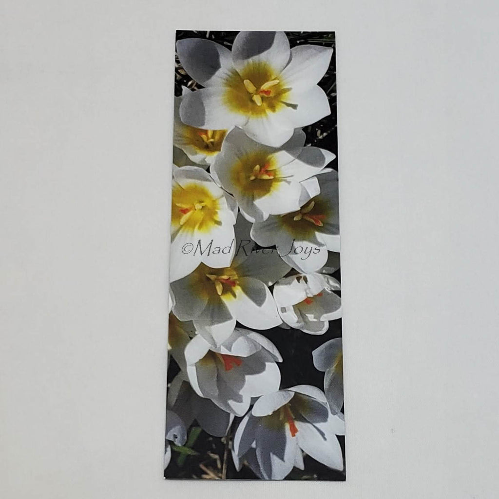 Bookmark--Photo--Bookmarks by B'ar Tolley