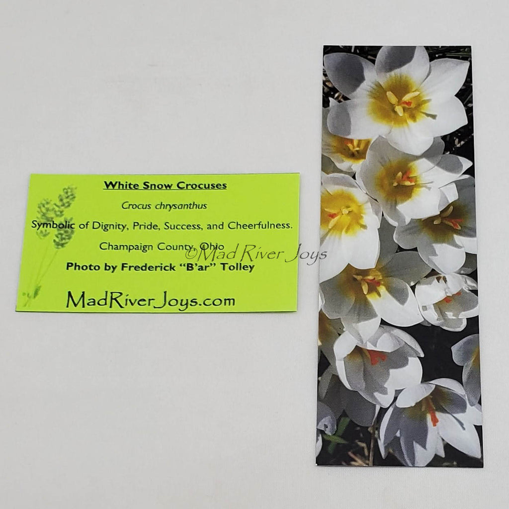 Bookmark--Photo--Bookmarks by B'ar Tolley