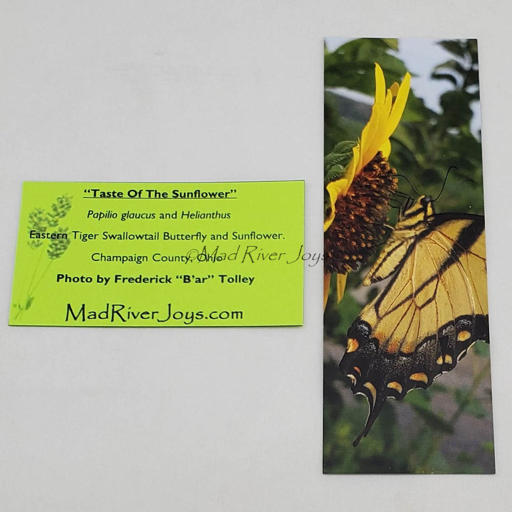 Bookmark--Photo--Bookmarks by B'ar Tolley