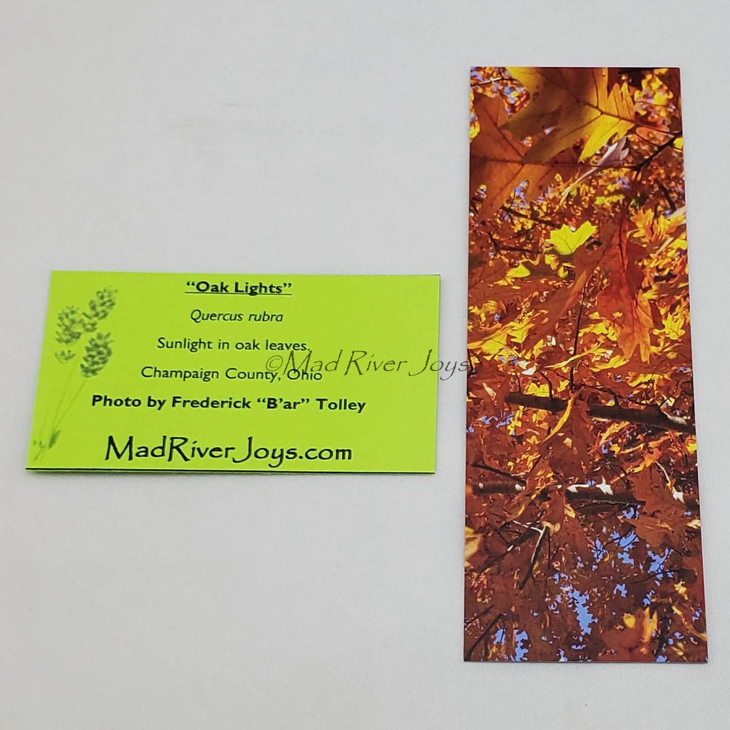 Bookmark--Photo--Bookmarks by B'ar Tolley