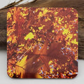 Coaster--Photo Print--Cork--Oak Lights