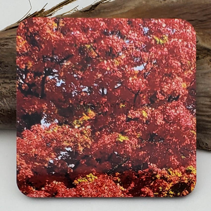 Coaster--Photo Print--Cork--Sugar Maple Color