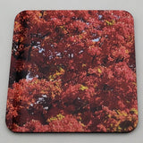 Coaster--Photo Print--Cork--Sugar Maple Color