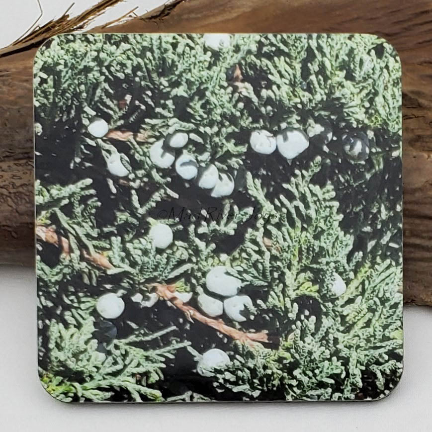 Coaster--Photo Print--Cork--Blue Rug Juniper