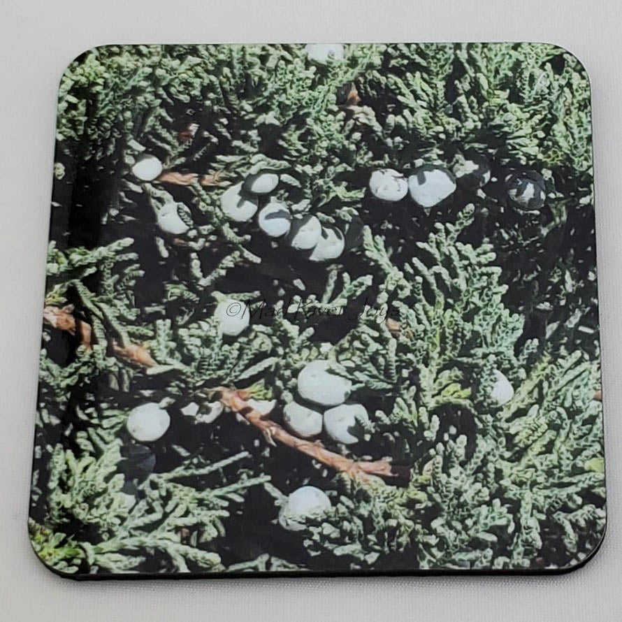 Coaster--Photo Print--Cork--Blue Rug Juniper