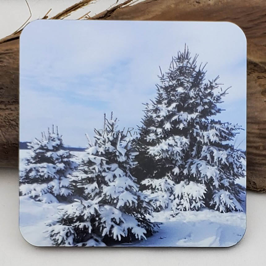 Coaster--Photo Print--Cork--Spruce In Snow