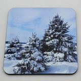 Coaster--Photo Print--Cork--Spruce In Snow