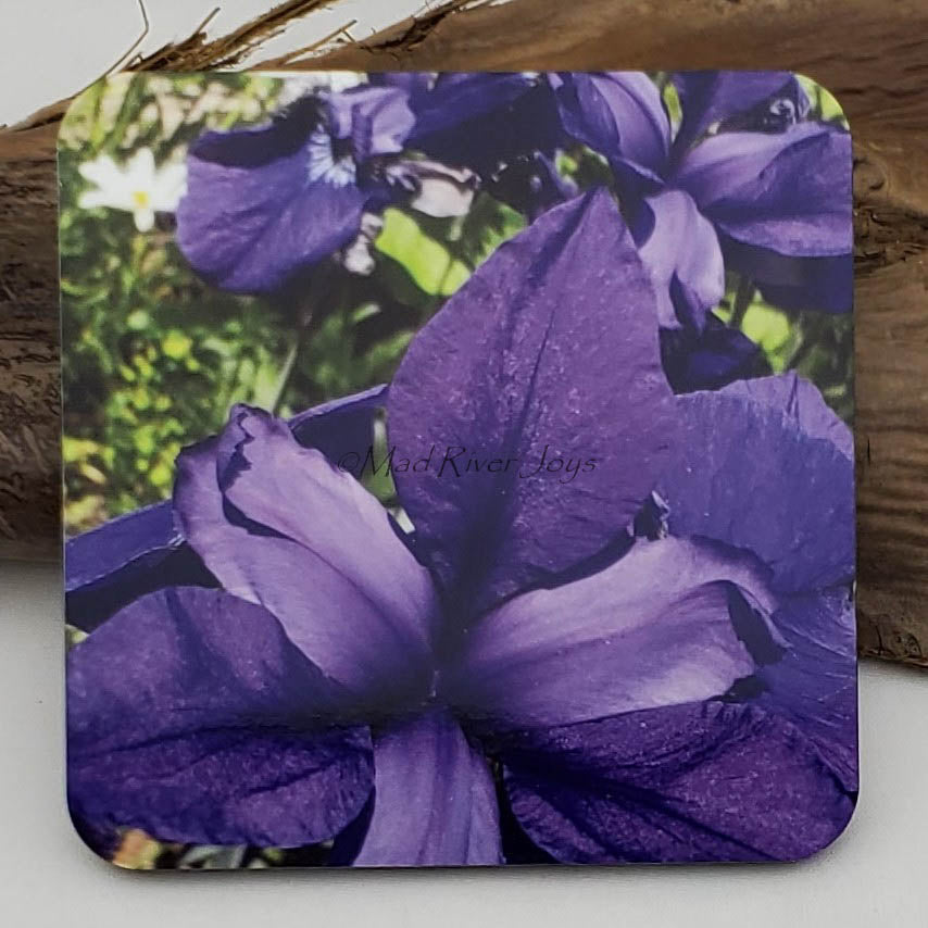Coaster--Photo Print--Cork--Purple Iris