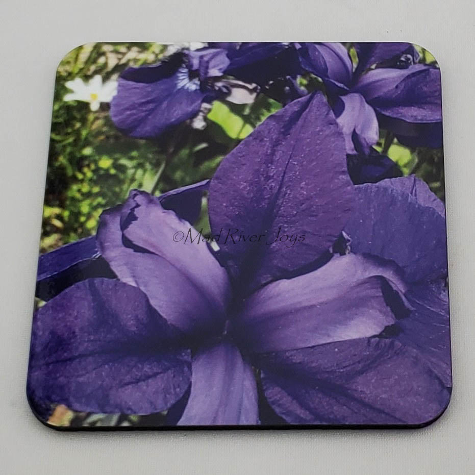 Coaster--Photo Print--Cork--Purple Iris