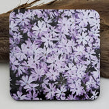 Coaster--Photo Print--Cork--Lavender Creeping Phlox