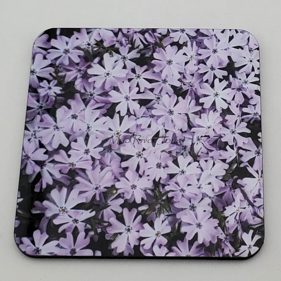 Coaster--Photo Print--Cork--Lavender Creeping Phlox