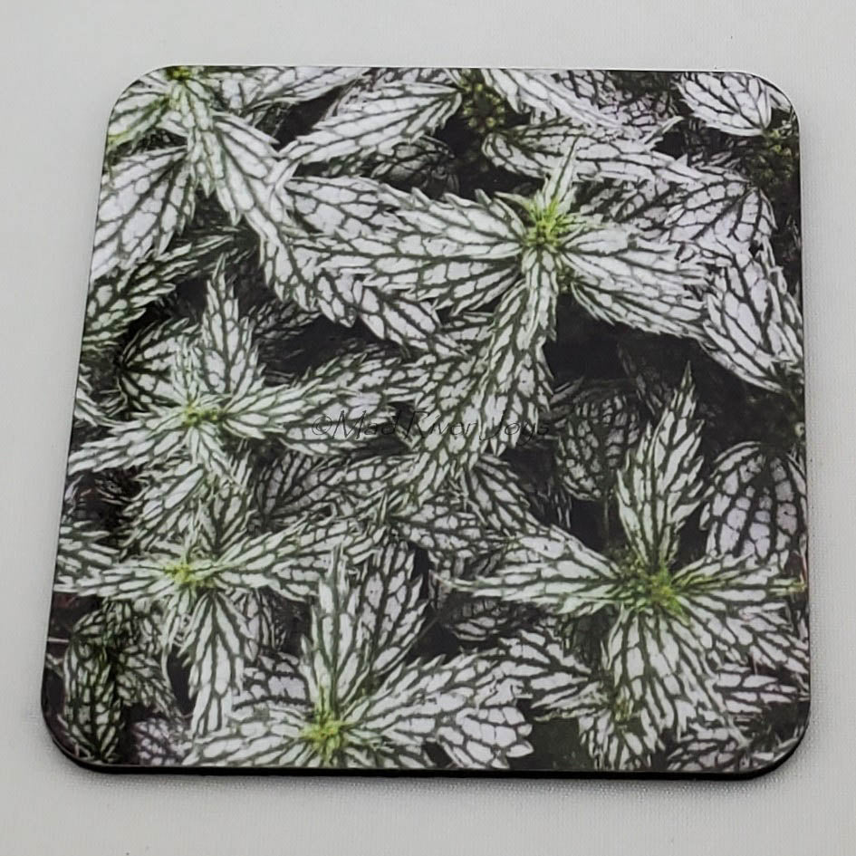 Coaster--Photo Print--Cork--Lamium