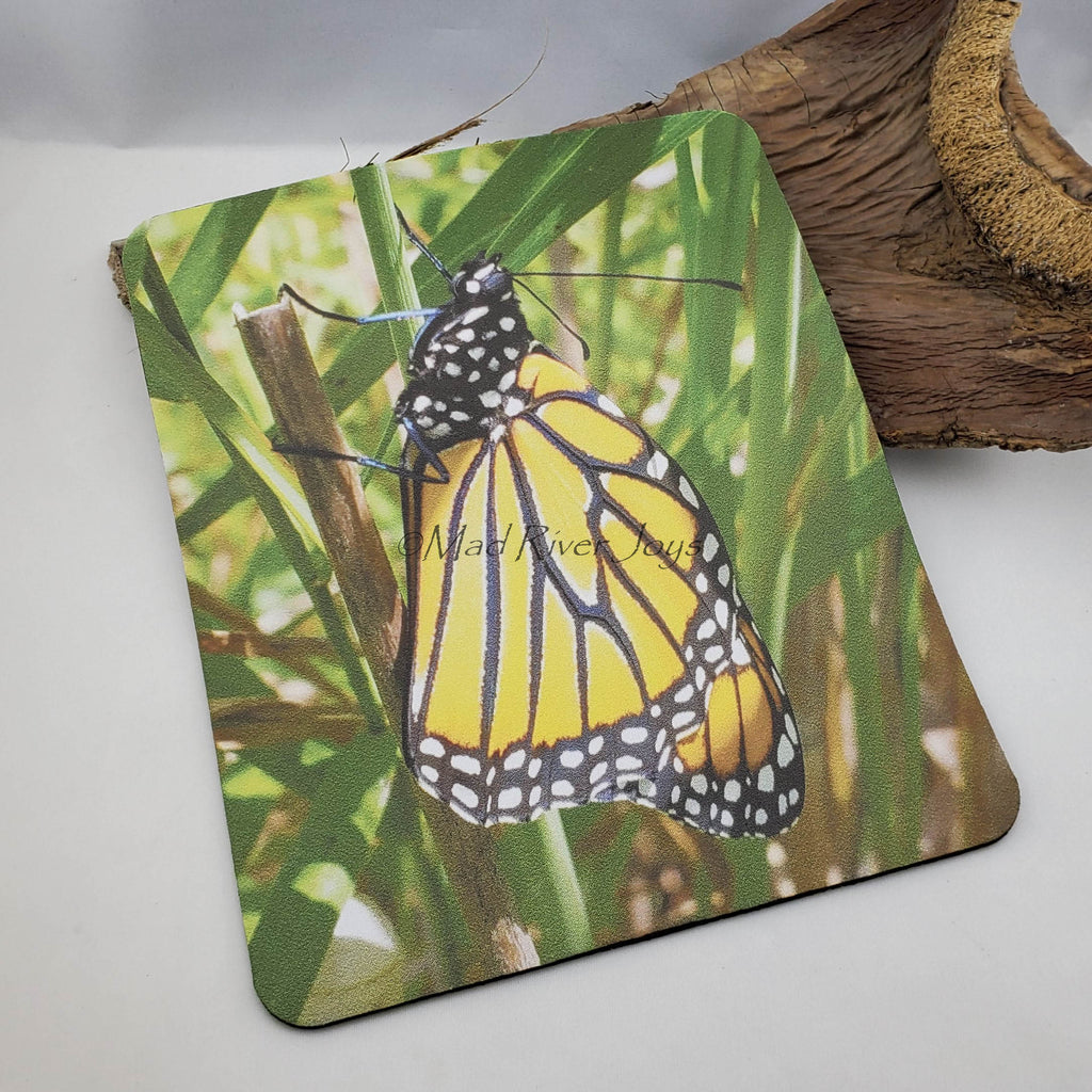 Mouse Mat--Photo Print--Foam--Monarch Butterfly